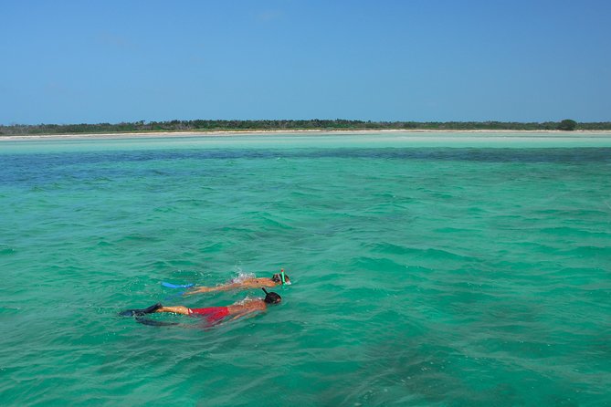 Key West Reef Snorkel – Morning Mimosas or Afternoon Margaritas - Timing, weather, and the small details that matter