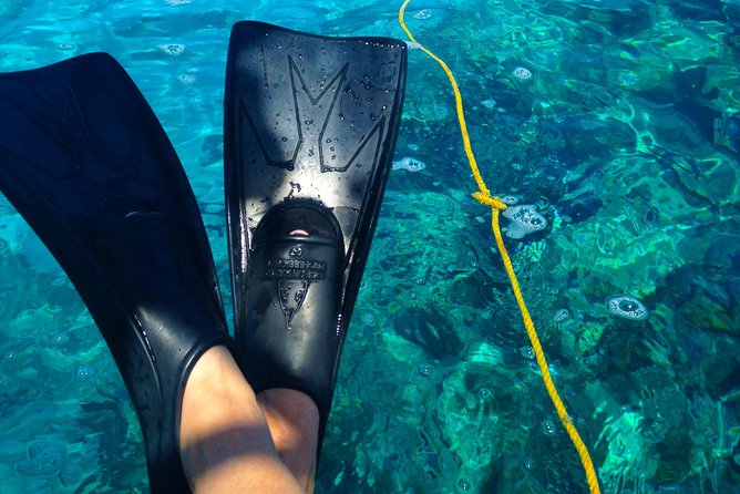 Key West Reef Snorkel & Sail Adventure - Sailing out from the Hyatt Centric Key West
