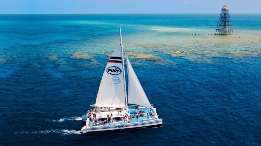 Key West: Reef Snorkeling with Drinks and Sunset Option - Choosing morning, afternoon, or sunset