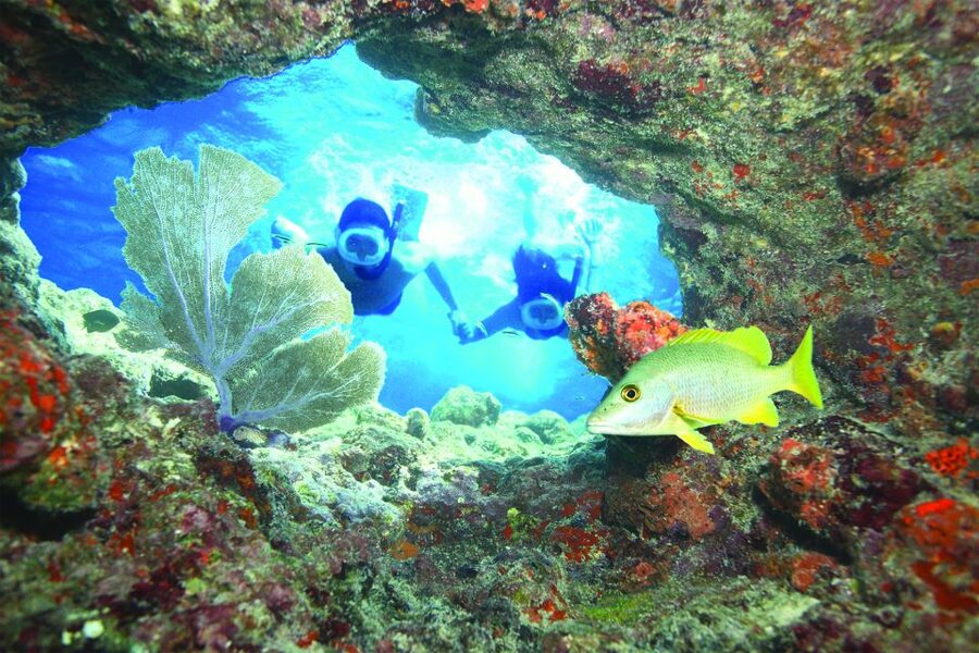 Key West: Reef Snorkeling with Drinks and Sunset Option - Booking advice for a smoother day