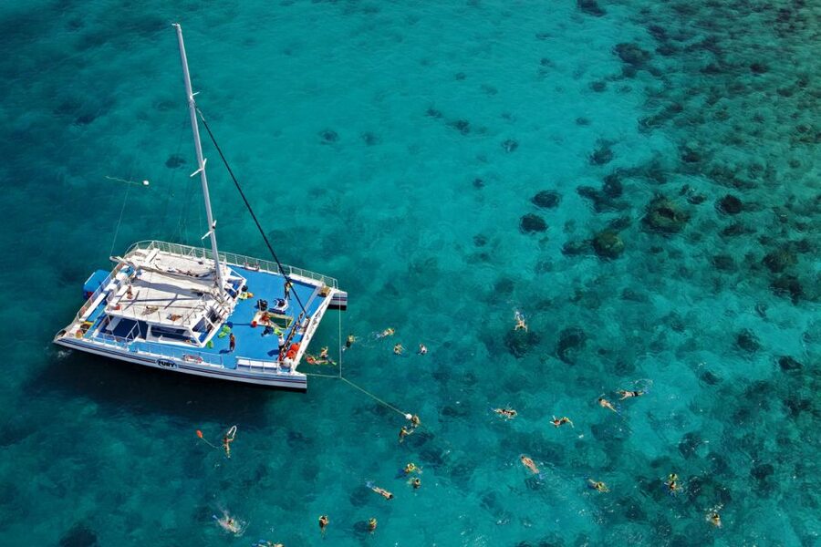 Key West: Reef Snorkeling with Drinks and Sunset Option - The reef stop and what you may see