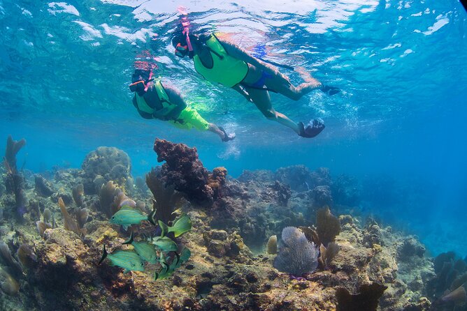 Key West Rum and Reggae: Reef Snorkel Adventure and Sunset Sail - Finding the best sunset spot on deck