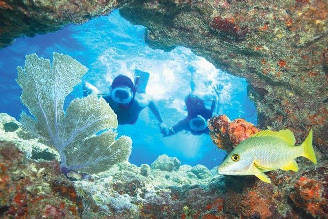 Key West Rum and Reggae: Reef Snorkel Adventure and Sunset Sail - Who will enjoy this Key West boat trip?