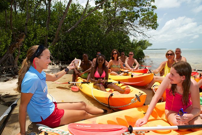 Key West's Island Adventure Sandbar Tour with Kayaking - Is the $119.95 price fair?