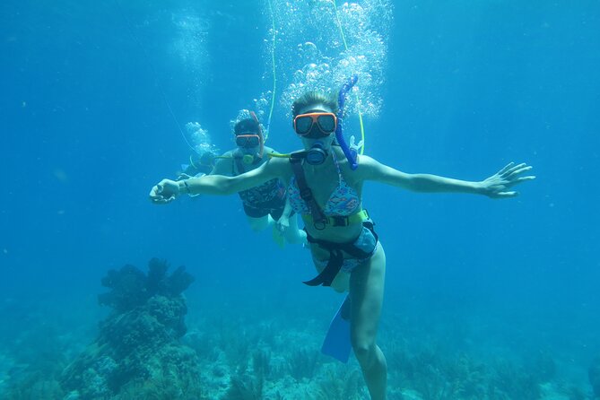 Key West SNUBA Experience - Learning SNUBA without a certification