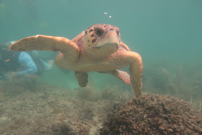 Key West SNUBA Experience - What happens at the SNUBA site