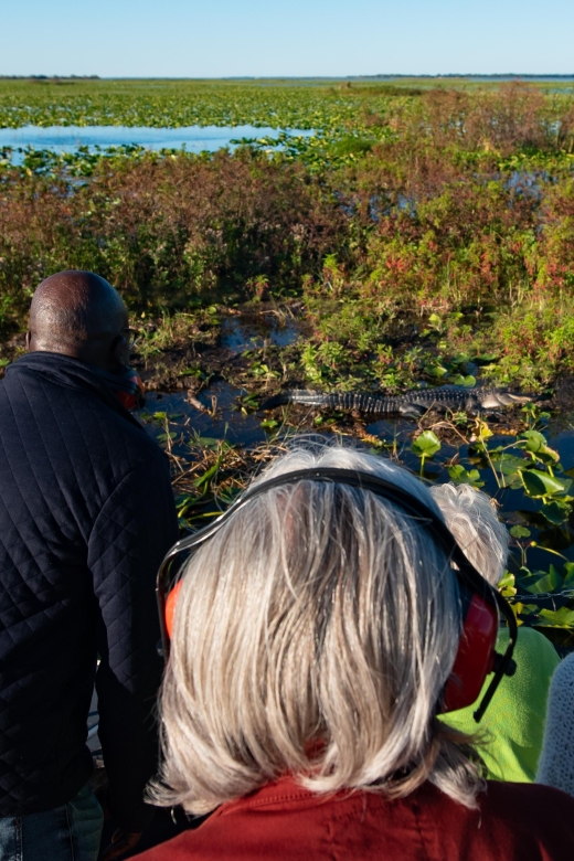 Kissimmee: Boggy Creek Airboat Ride with Optional Meal - Mining for fossils, crystals, and stones