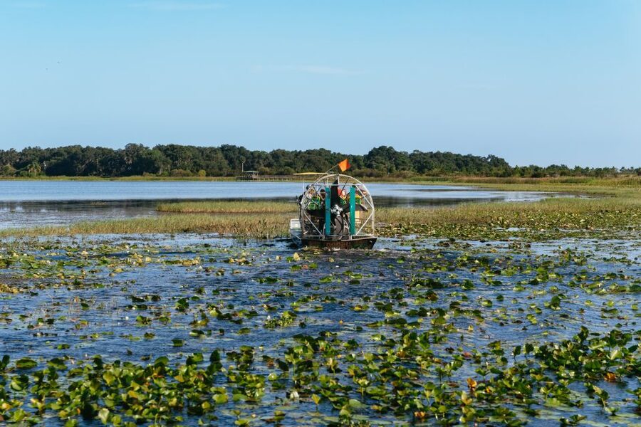 Kissimmee: Everglades Airboat Adventure Tour - Why this is a worthwhile change from the theme parks