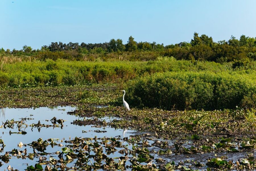 Kissimmee: Everglades Airboat Adventure Tour - Who will enjoy this most