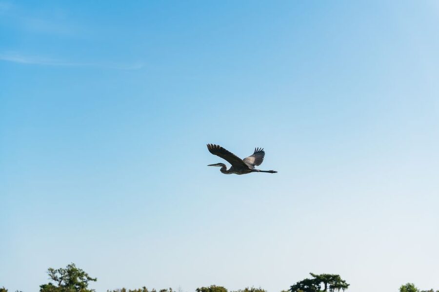 Kissimmee: Everglades Airboat Adventure Tour - What happens at the 2830 Neptune Road meeting point