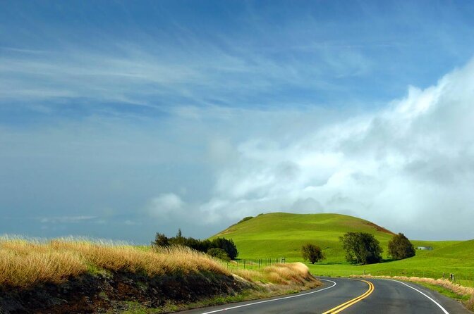 Kohala Waterfalls Small Group Adventure Tour - Key points to know before booking