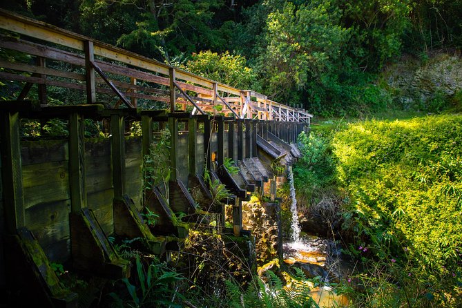 Kohala Waterfalls Small Group Adventure Tour - Who should book this Kohala adventure