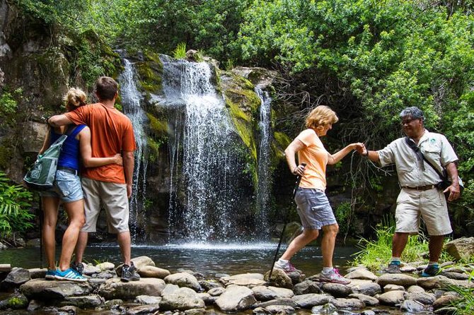 Kohala Waterfalls Small Group Adventure Tour - What to pack for the waterfall day