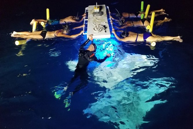 KONA Manta Ray Night Snorkel - FREE re-ride if no Sightings - Why Kona’s night mantas are worth your evening