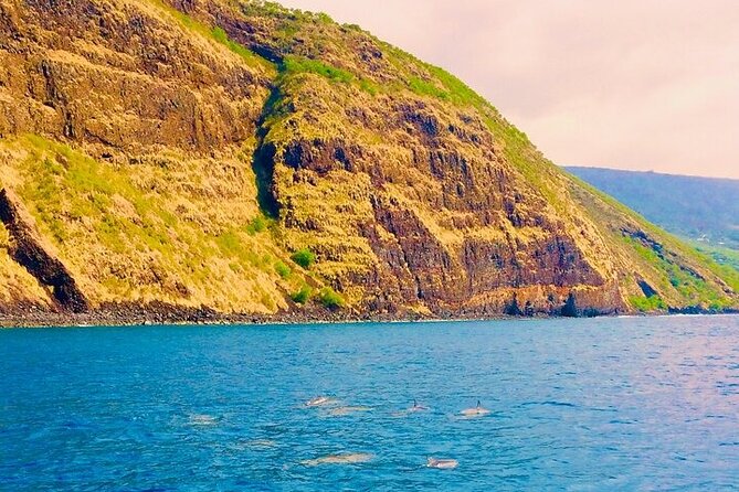 Kona Snorkel Tour: Captain Cook Reef Snorkel, Dolphin & Sea Caves - Is $71.10 a fair price?