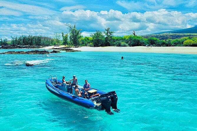 Kona Snorkel Tour: Captain Cook Reef Snorkel, Dolphin & Sea Caves - Who will enjoy this most?