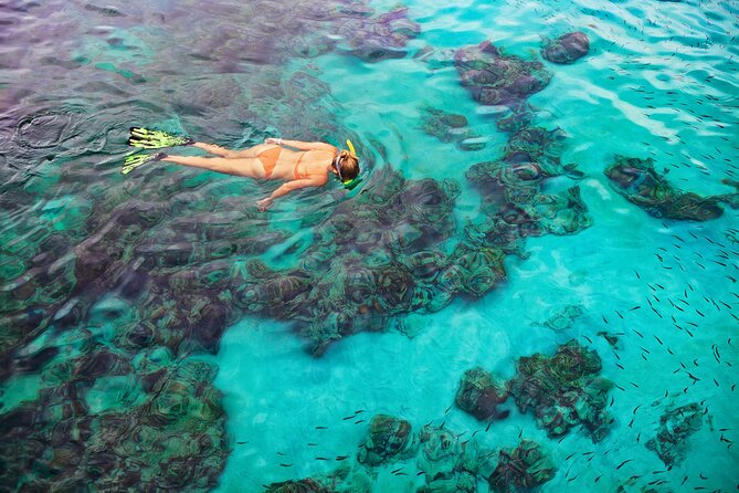 Kona Snorkel Tour: Captain Cook Reef Snorkel, Dolphin & Sea Caves - Booking details worth knowing