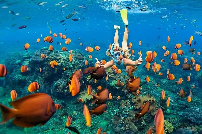 Kona Snorkel Tour: Captain Cook Reef Snorkel, Dolphin & Sea Caves - Why Kealakekua Bay matters