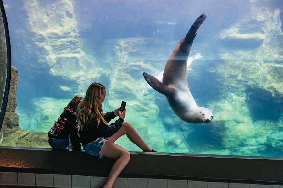 LA: Aquarium of the Pacific Skip-the-Line Entry - Key points to know before you go
