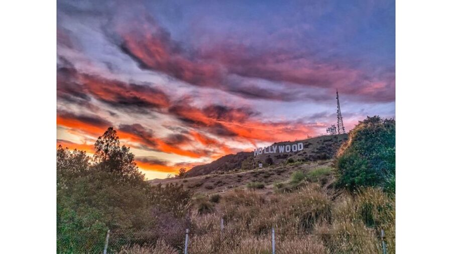 LA: Hollywood Sign Tour with Comedians, Dogs, & Epic Photos - Comedy, local stories, and a few personal touches