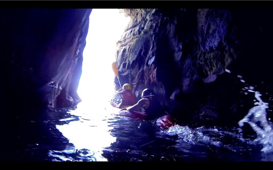 La Jolla: 2-Hour Kayak Tour of the 7 Caves - Paddling through three coastal habitats