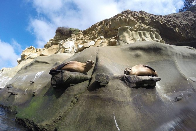 La Jolla Sea Caves Kayak Tour For Two (Tandem Kayak) - Learning the tandem kayak basics