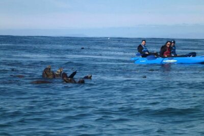 La Jolla Sea Caves Kayak Tour For Two (Tandem Kayak)