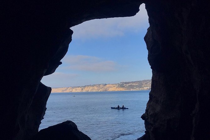 La Jolla Sea Caves Kayak Tour For Two (Tandem Kayak) - Wildlife from a low seat on the water