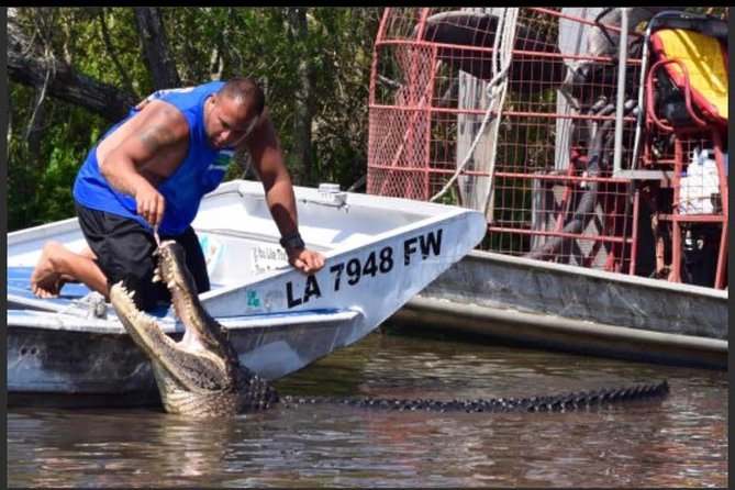 Large Airboat Swamp Tour with Transportation from New Orleans - Two hours among alligators, birds, and quiet water