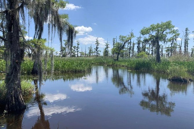 Large Airboat Swamp Tour with Transportation from New Orleans - The value of a good local captain