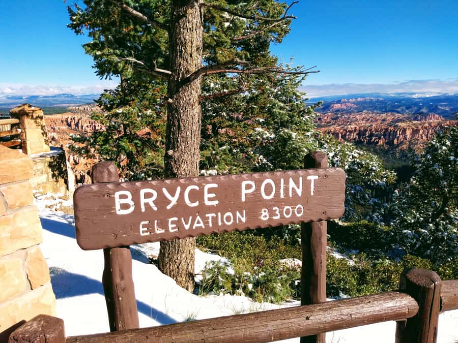 Las Vegas: Bryce and Zion National Parks Tour with Lunch - Bryce Canyon’s rim and orange hoodoos