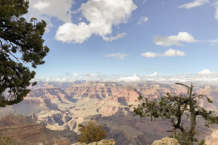 Las Vegas: Grand Canyon National Park South Rim Guided Tour - Food Stops and the Return to Las Vegas