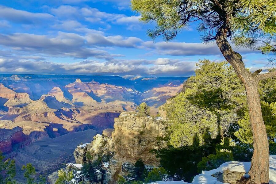 Las Vegas: Grand Canyon National Park South Rim Guided Tour - Bright Angel Point and the Guided Walk