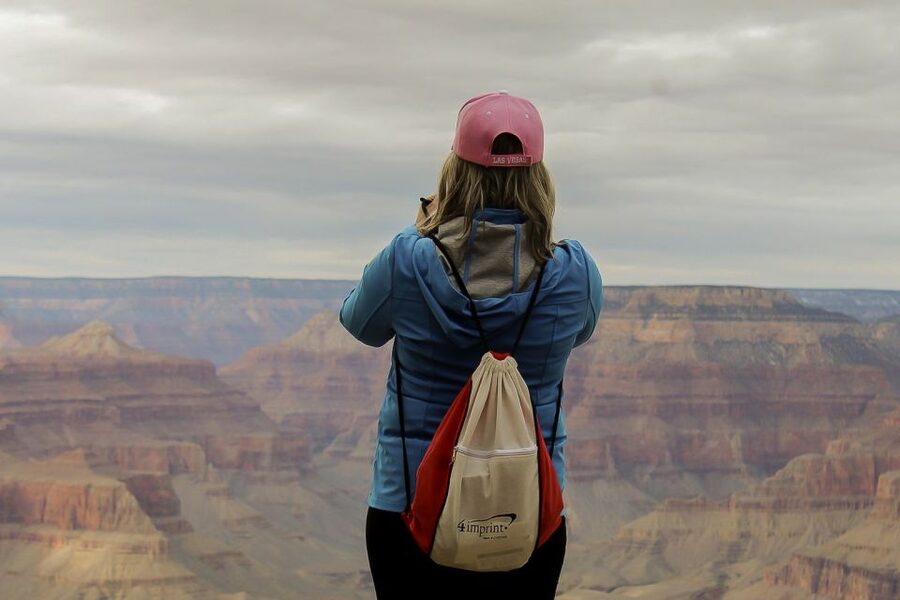 Las Vegas: Grand Canyon National Park South Rim Guided Tour - The Trail of Time, Visitors Center, and Yavapai Geology Museum