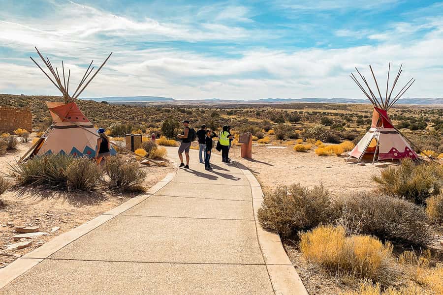 Las Vegas: Grand Canyon West Rim Tour with Optional Skywalk - Joshua Trees and the Desert Road