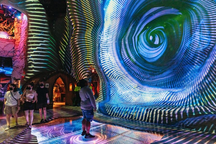 Las Vegas: Meow Wolf Omega Mart Ticket - Key points to know before you go