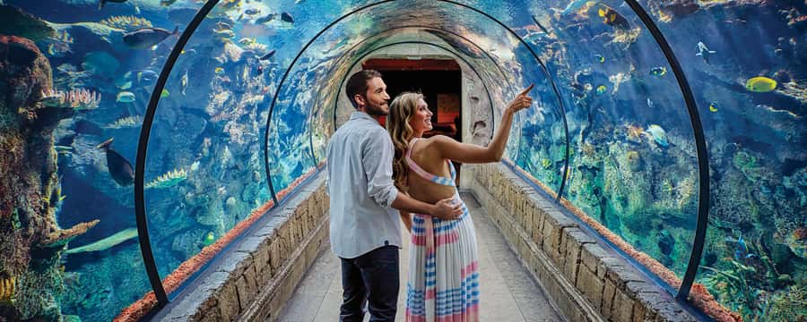 Las Vegas: Shark Reef Aquarium Entry Ticket - Fourteen exhibits keep the visit varied