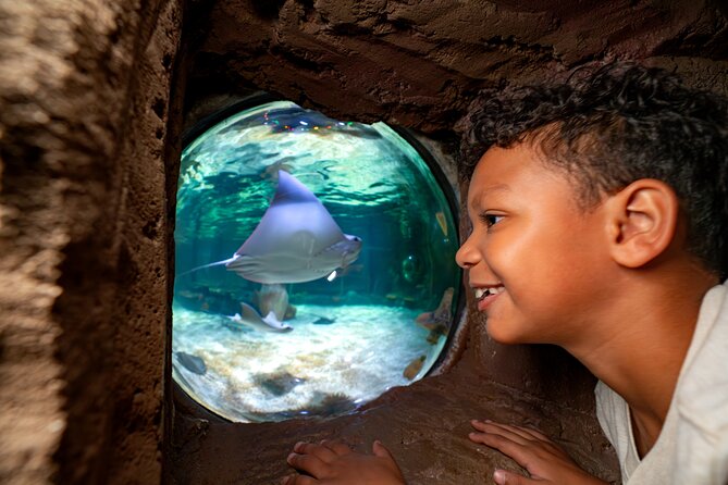 LEGOLAND Florida Theme Park Admission Tickets - SEA LIFE Aquarium is a short add-on, not a full-day stop