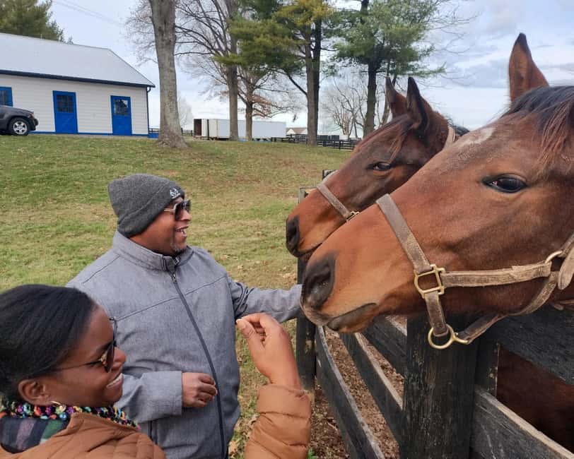 Lexington: Thoroughbred Horse Farm Tour and Scenic Bluegrass - Practical details before you book
