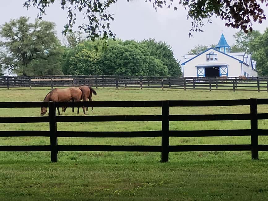 Lexington: Thoroughbred Horse Farm Tour and Scenic Bluegrass - Why Lexington’s horse country is worth seeing
