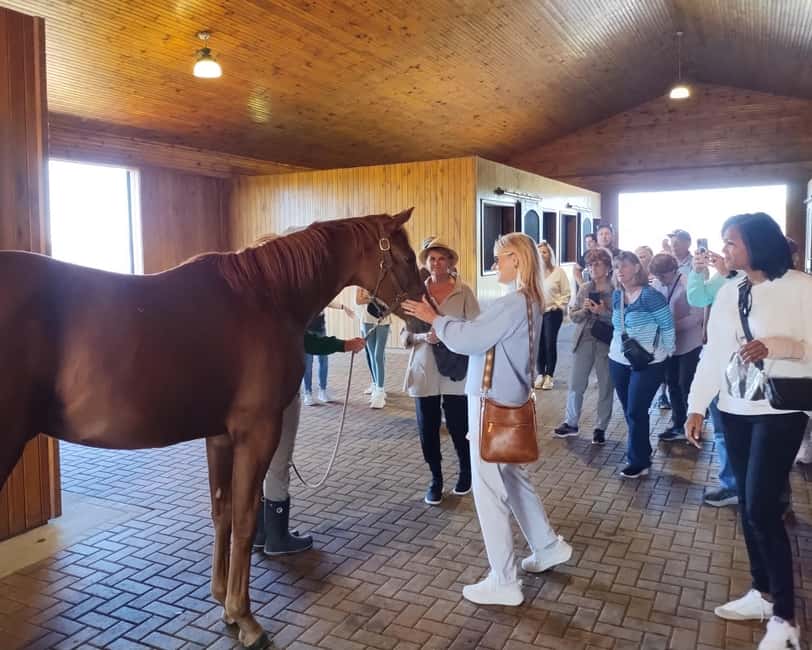 Lexington: Thoroughbred Horse Farm Tour and Scenic Bluegrass - Keeneland Race Course and its movie connections