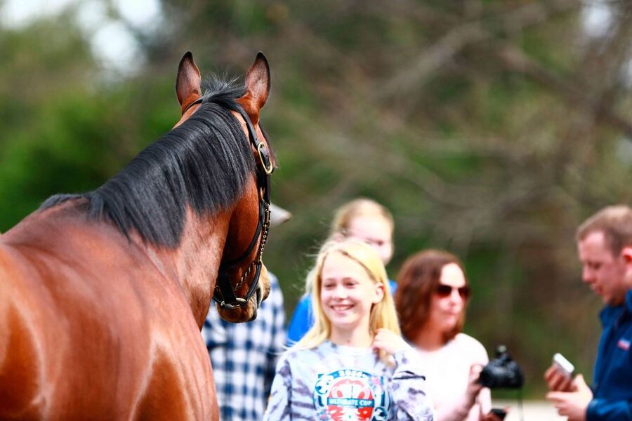 Lexington: Thoroughbred Horse Farm Tour and Scenic Bluegrass - What happens at the Thoroughbred farms