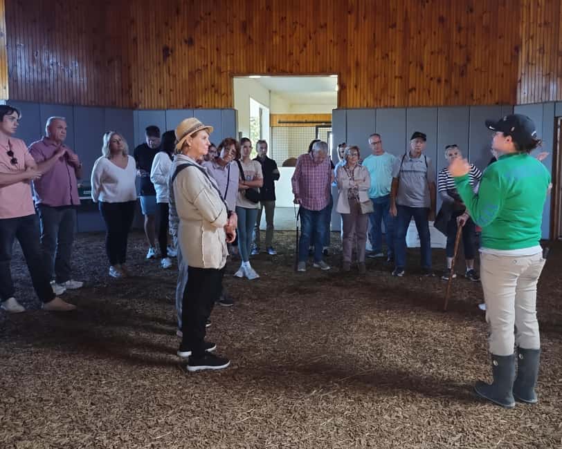 Lexington: Thoroughbred Horse Farm Tour and Scenic Bluegrass - The guides make the difference