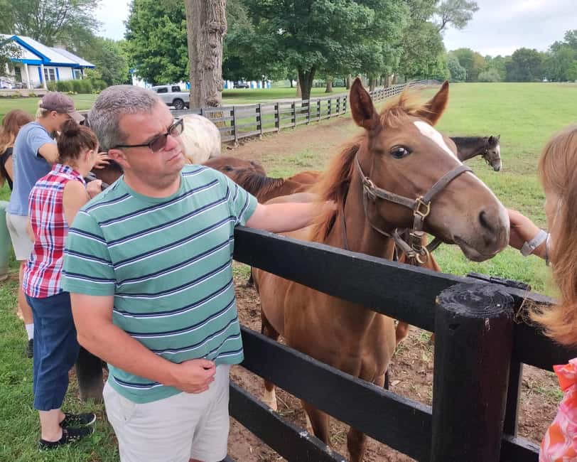 Lexington: Thoroughbred Horse Farm Tour and Scenic Bluegrass - The ride in a 14-passenger van