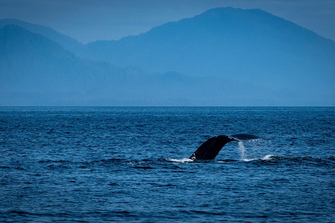 Lighthouse, Totems & Eagles Excursion (Ketchikan) - Remote homes and island living