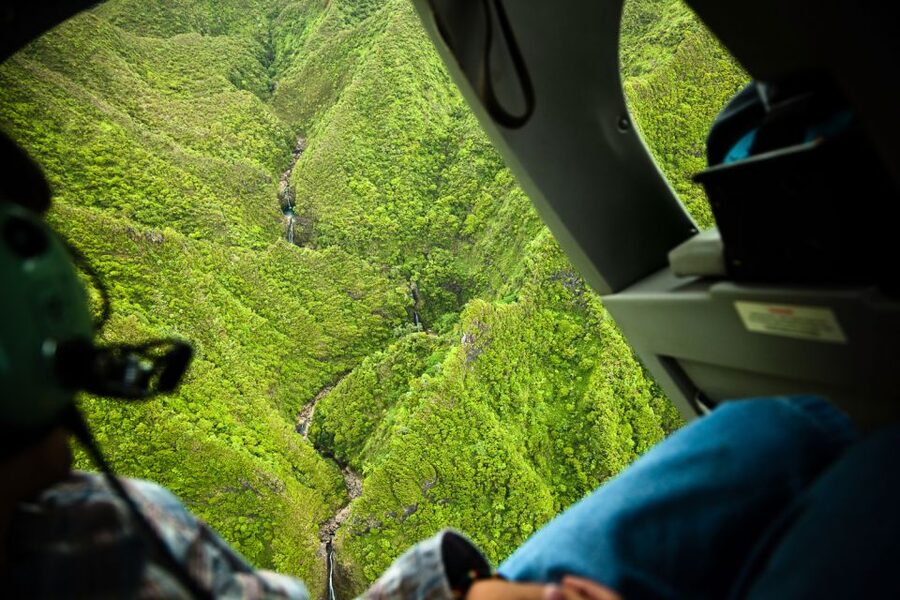 Lihue: Deluxe Waterfall Safari Helicopter Tour - Jurassic Falls and the wet interior