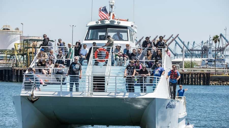 Long Beach: Whale and Dolphin Watching Cruise - A realistic look at the wildlife guarantee