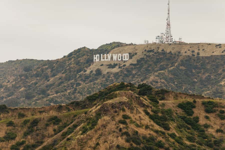 Los Angeles: Half-Day Best of LA Tour - Bus comfort, weather, and practical details