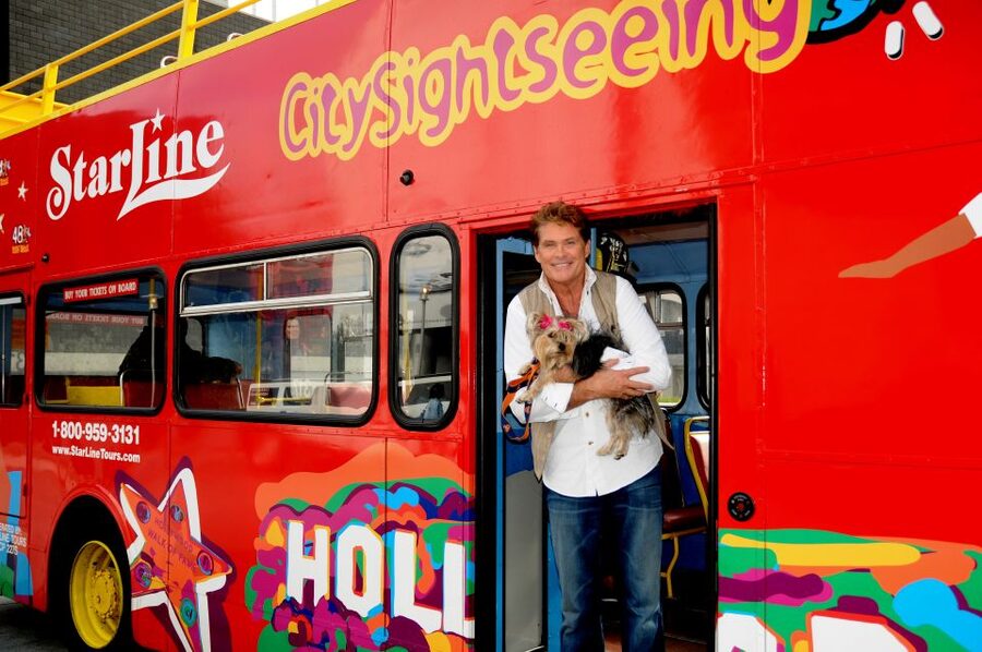 Los Angeles: Hop-On Hop-Off Bus Tour with Audio Guide - Purple Route: Downtown LA museums, food, and concert halls