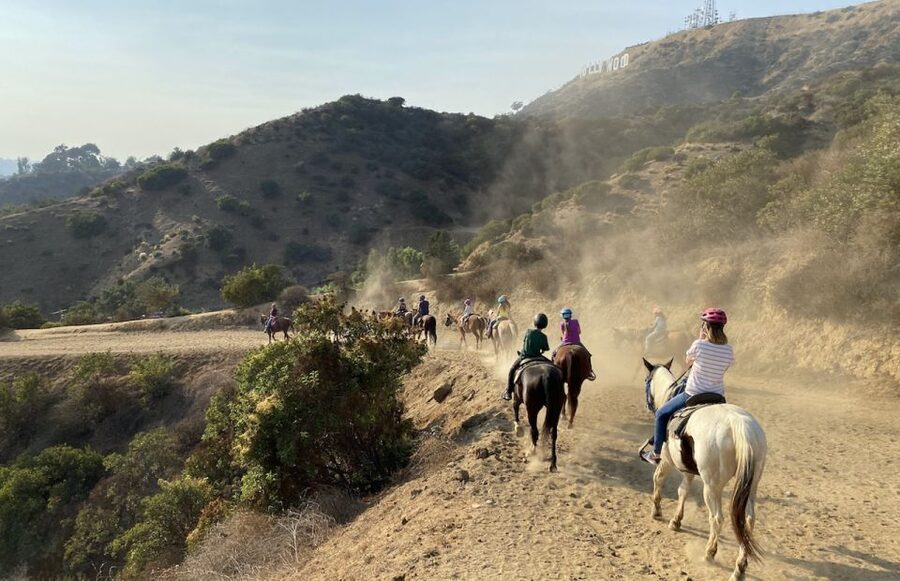 Los Angeles: Mulholland Trail Horseback Riding Tour - Starting at Sunset Ranch below the Hollywood Sign